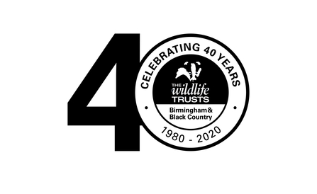 Birmingham and Black Country logo