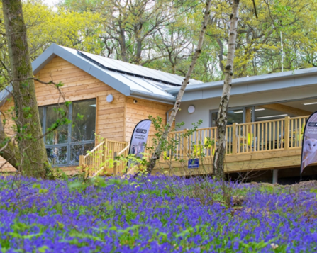 Nower Wood, Surrey Wildlife Trust