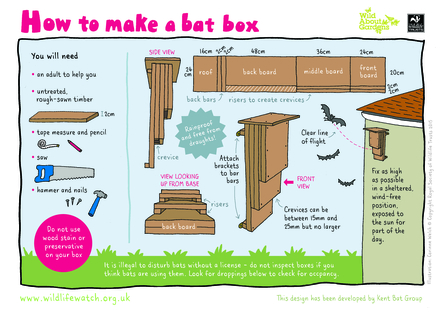 bat box