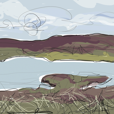 26 Habitats - blanket bog