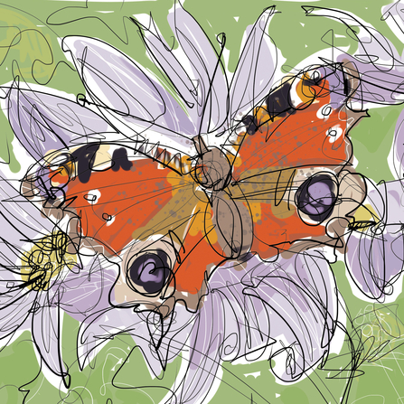 Butterfly