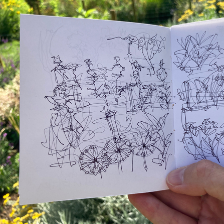 drawing