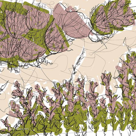 26 Habitats - heathland 2