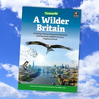 A wilder Britain