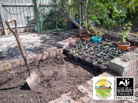 Tree Nursery