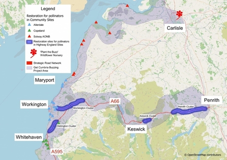 Get Cumbria Buzzing map