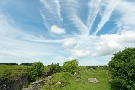 Ubley Warren