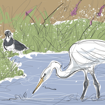 Wetlands