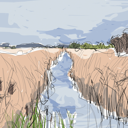Wetlands