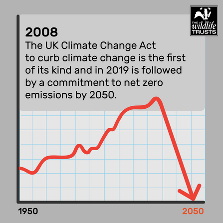 Climate timeline 2008