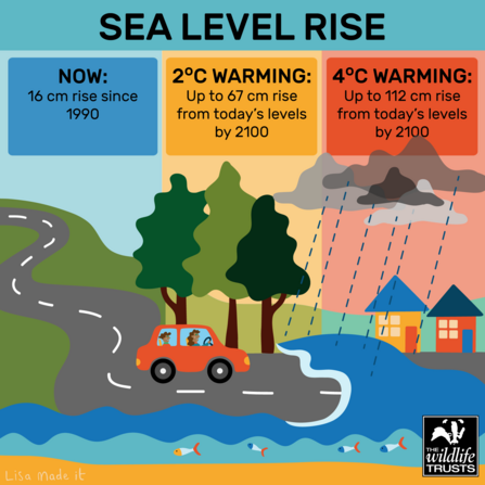 Climate Impact - Sea levels rise