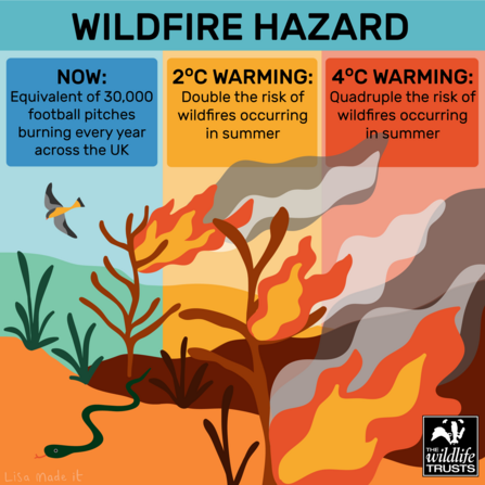 Climate Impact - Wild fire risk