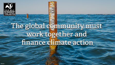 The global community must work together to finance climate action - sea level rise