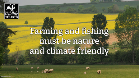 Farmed fields with text that reads "farming and fishing must be nature and climate friendly"