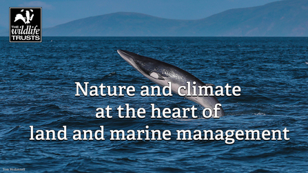 A minke whale breaches. The text reads "nature and climate at the heart of land and marine management."