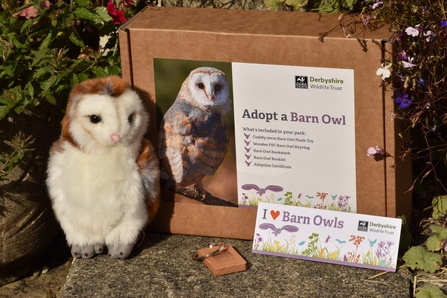 Barn owl toy, adoption pack