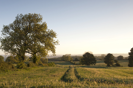  Early Oat Fields, Haregill Lodge Farm, Ellingstring, North Yorkshire