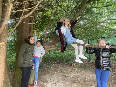 Children climbing trees