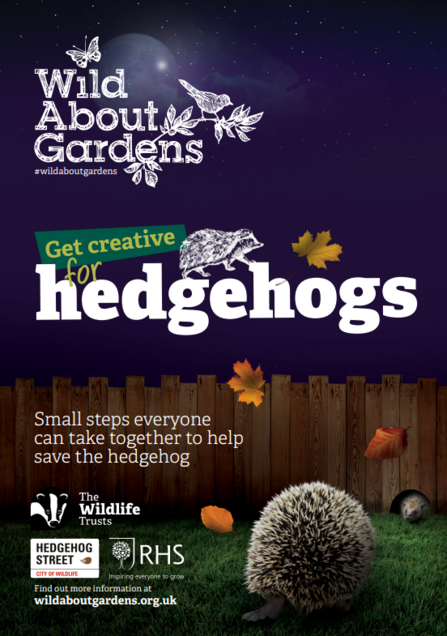 WAG Hedgehog front cover