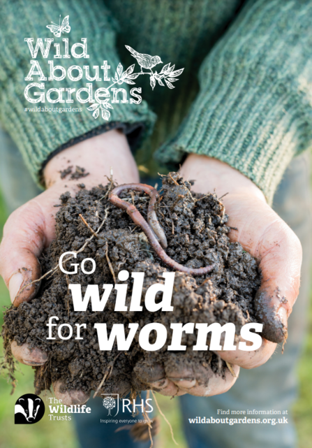 WAG Worms front cover