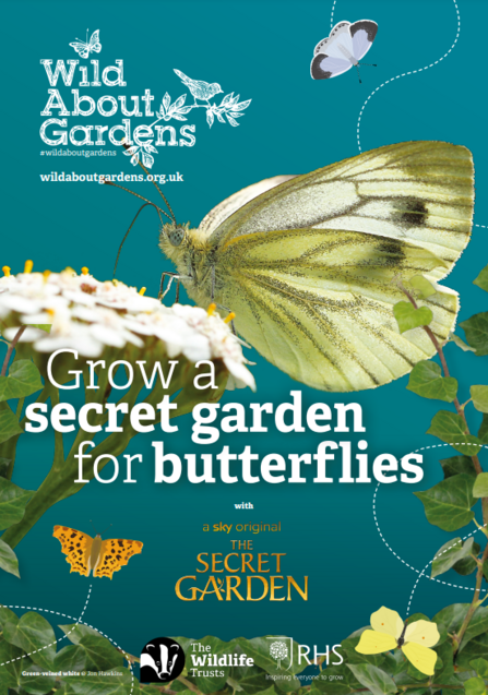WAG Butterflies front cover