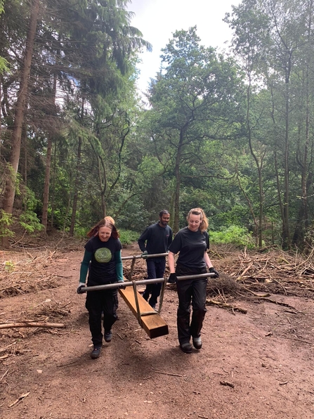 3 Natural Prospects trainees carrying out woodland conservation work