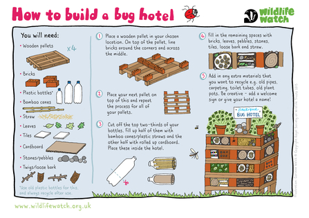 How to build a bug hotel activity sheet