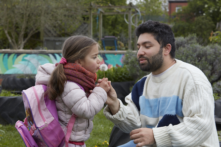 A father holds a dandelion clock for his daughter, as she blows it. They are in a community garden.
