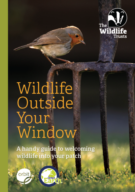 Wildlife outside your window cover