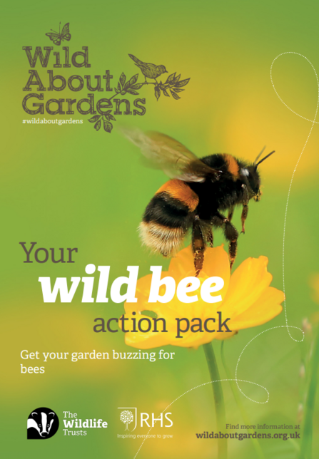 Wild About Gardens: Your wild bee action pack front cover