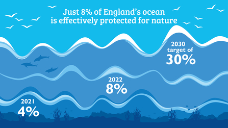 Illustration of sea with text 'Just 8% of England's ocean is effectively protected for nature. 2021 4%. 2022 8% and 2030 target of 30%