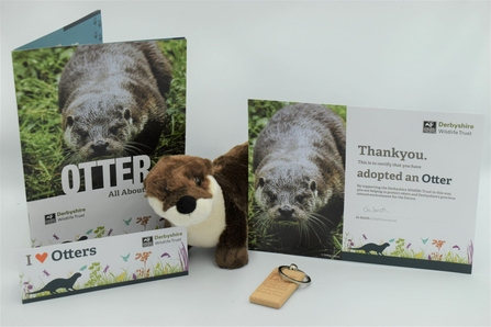 Otter adoption pack