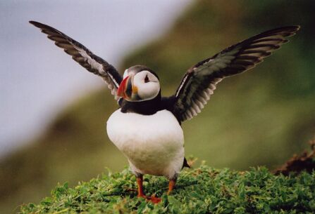 © Lizzie Wilberforce