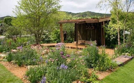 A wildlife garden featuring an mix of wildflowers and trees.