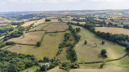 DWT land at Bowden Pillars