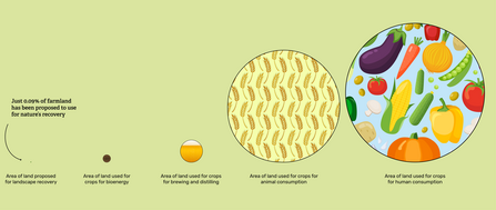 Land use 