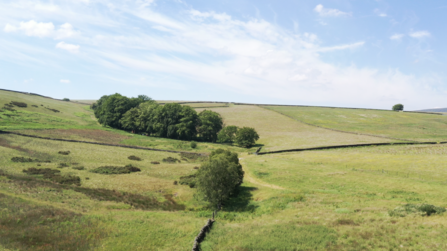 UGHILL FARM