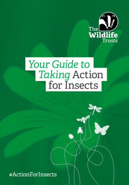 Your guide to taking Action for Insects
