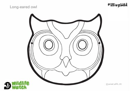 Owl mask