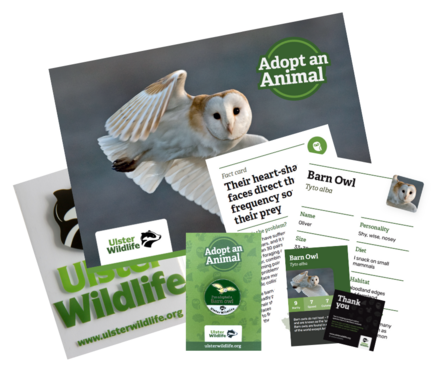 Owl adoption pack - Ulster