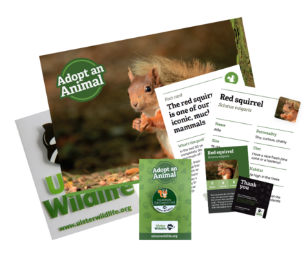 Red squirrel adoption pack