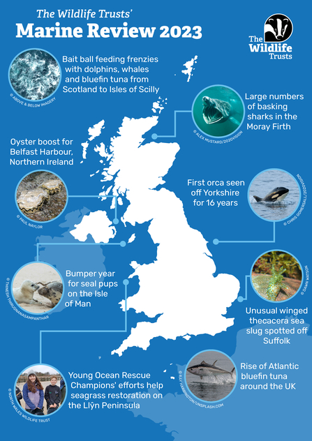 The Wildlife Trusts' Marine_Review_Map_2023 © The Wildlife Trusts