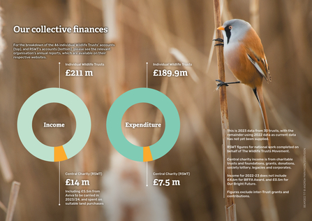 2023 impact report finance graphic