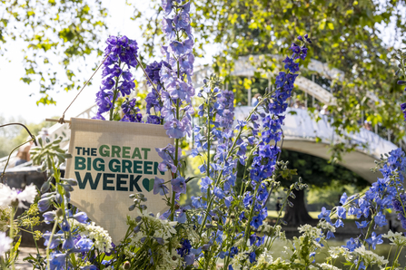 Great Big Green Week sign amongst summer flowers