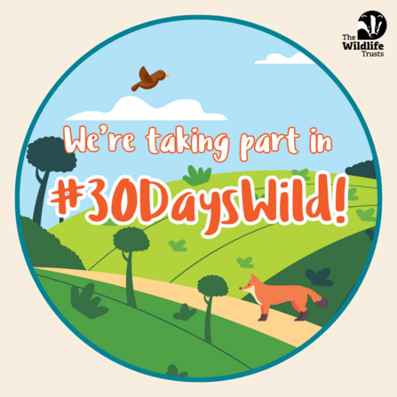 We're taking part in #30DaysWild
