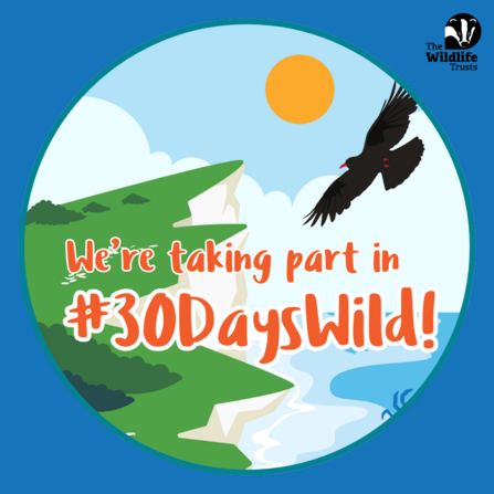 We're taking part in #30DaysWild