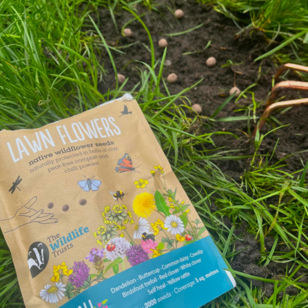 Seedball Lawn Flower grab bag laid on some grass with the seedballs scattered behind
