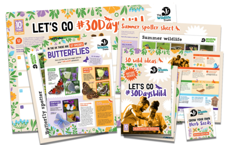 Image of free at home packs for 30 Days Wild. 