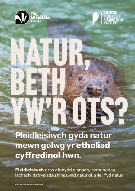 Nature, who cares? Beaver - Welsh