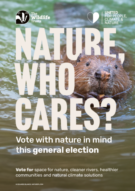 Nature, who cares? Beaver poster